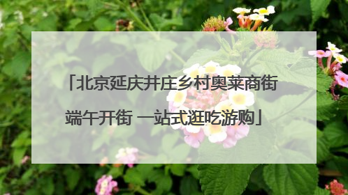 北京延庆井庄乡村奥莱商街端午开街 一站式逛吃游购