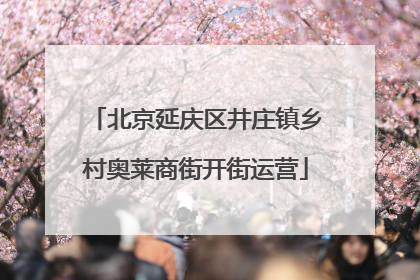 北京延庆区井庄镇乡村奥莱商街开街运营