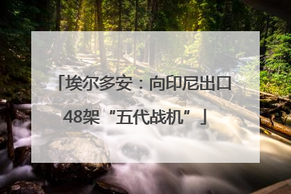 埃尔多安：向印尼出口48架“五代战机”