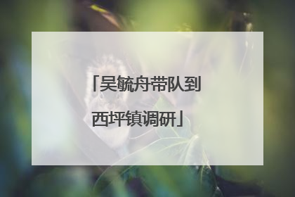 吴毓舟带队到西坪镇调研