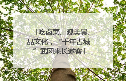 吃卤菜、观美景、品文化，“千年古城”武冈来长邀客
