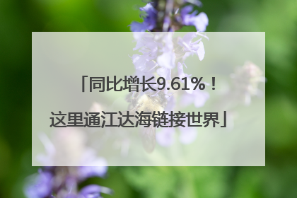 同比增长9.61%！这里通江达海链接世界