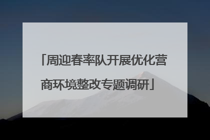 周迎春率队开展优化营商环境整改专题调研