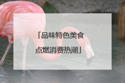 品味特色美食 点燃消费热潮