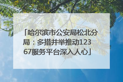 哈尔滨市公安局松北分局：多措并举推动12367服务平台深入人心
