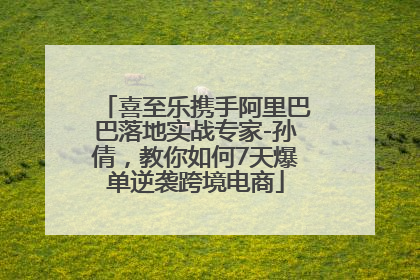 喜至乐携手阿里巴巴落地实战专家-孙倩，教你如何7天爆单逆袭跨境电商