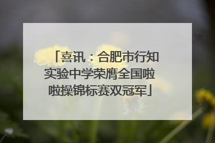 喜讯：合肥市行知实验中学荣膺全国啦啦操锦标赛双冠军