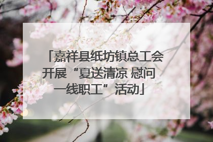 嘉祥县纸坊镇总工会开展“夏送清凉 慰问一线职工”活动