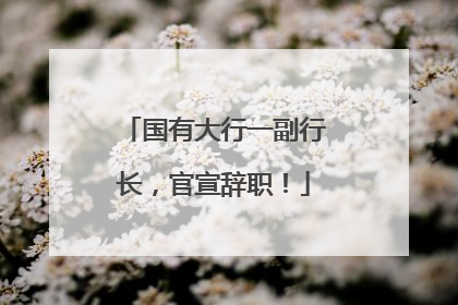国有大行一副行长，官宣辞职！