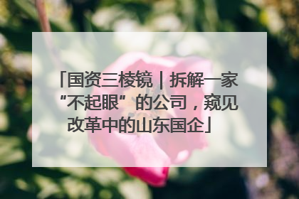国资三棱镜｜拆解一家“不起眼”的公司，窥见改革中的山东国企