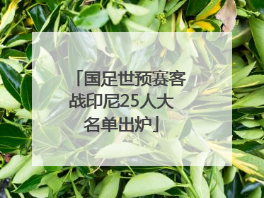 国足世预赛客战印尼25人大名单出炉