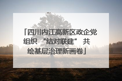 四川内江高新区政企党组织 “结对联建” 共绘基层治理新画卷