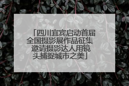 四川宜宾启动首届全国摄影展作品征集 邀请摄影达人用镜头捕捉城市之美