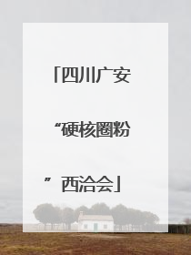 四川广安“硬核圈粉”西洽会