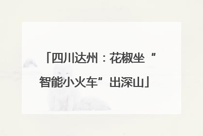 四川达州：花椒坐“智能小火车”出深山