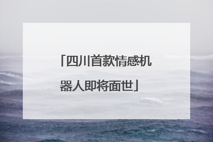 四川首款情感机器人即将面世