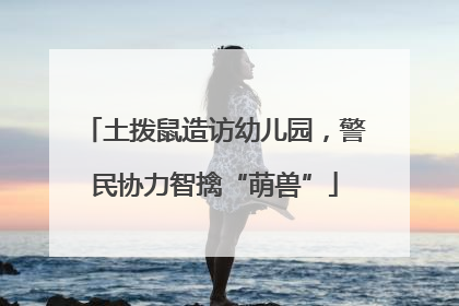 土拨鼠造访幼儿园,警民协力智擒“萌兽”