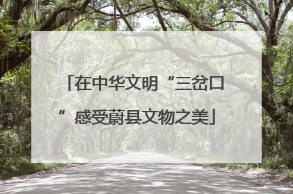在中华文明“三岔口”感受蔚县文物之美
