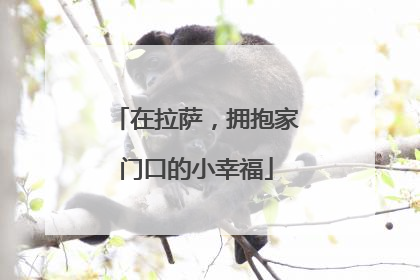 在拉萨，拥抱家门口的小幸福