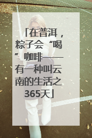 在普洱，粽子会“喝”咖啡——有一种叫云南的生活之365天