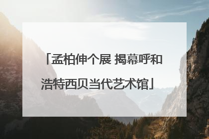 孟柏伸个展 揭幕呼和浩特西贝当代艺术馆