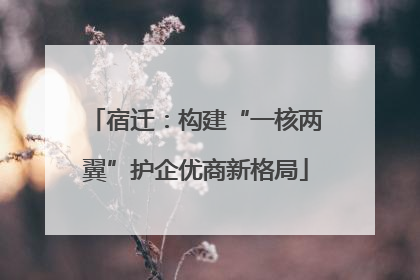 宿迁：构建“一核两翼”护企优商新格局