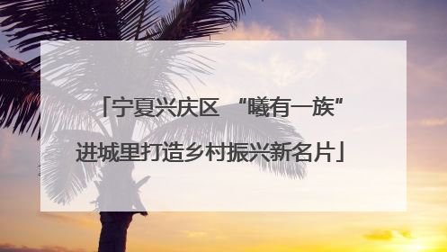 宁夏兴庆区 “曦有一族”进城里打造乡村振兴新名片