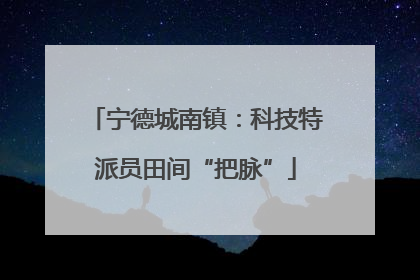 宁德城南镇：科技特派员田间“把脉”