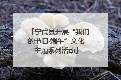 宁武县开展“我们的节日·端午”文化主题系列活动