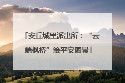 安丘城里派出所：“云端枫桥”绘平安图景