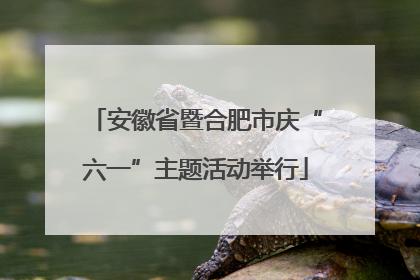 安徽省暨合肥市庆“六一”主题活动举行