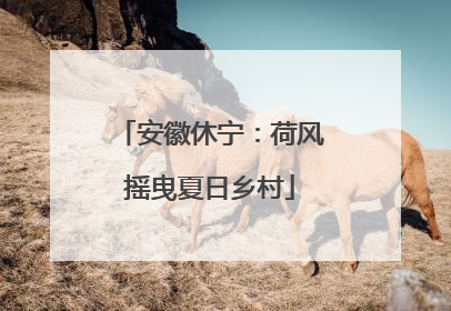 安徽休宁：荷风摇曳夏日乡村