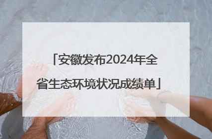 安徽发布2024年全省生态环境状况成绩单