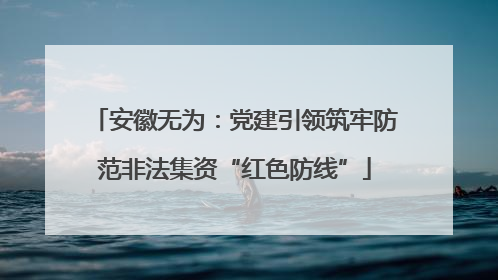 安徽无为：党建引领筑牢防范非法集资“红色防线”