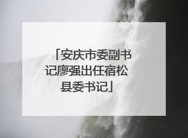 安庆市委副书记廖强出任宿松县委书记