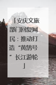 安庆文旅部门回复网民：推动打造“黄鹄号”长江游轮
