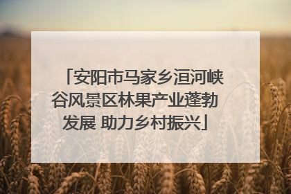安阳市马家乡洹河峡谷风景区林果产业蓬勃发展 助力乡村振兴