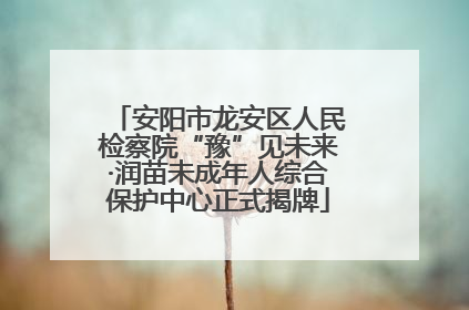 安阳市龙安区人民检察院“豫”见未来·润苗未成年人综合保护中心正式揭牌