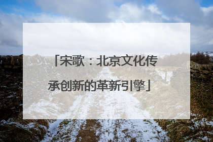 宋歌：北京文化传承创新的革新引擎