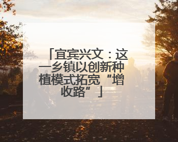 宜宾兴文：这一乡镇以创新种植模式拓宽“增收路”