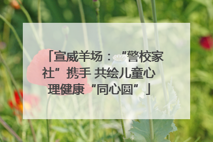 宣威羊场：“警校家社”携手 共绘儿童心理健康“同心圆”