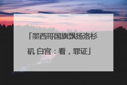 墨西哥国旗飘扬洛杉矶 白宫：看，罪证