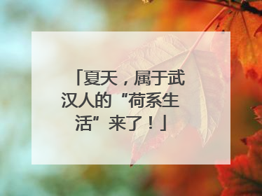 夏天，属于武汉人的“荷系生活”来了！