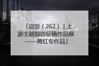 夏影（262）｜上游主题摄影征稿作品展——黄红专作品