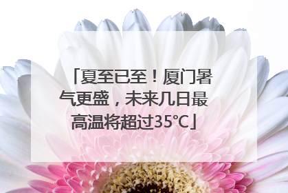 夏至已至！厦门暑气更盛，未来几日最高温将超过35℃