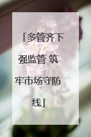 多管齐下强监管 筑牢市场守防线