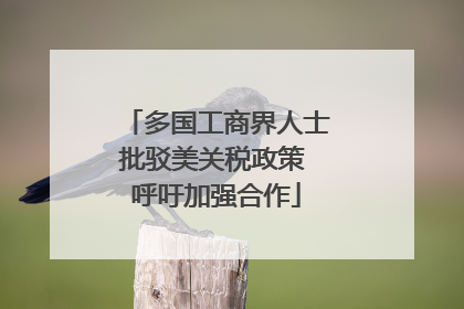 多国工商界人士批驳美关税政策 呼吁加强合作
