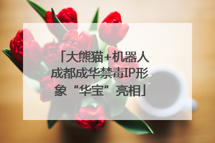 大熊猫+机器人 成都成华禁毒IP形象“华宝”亮相