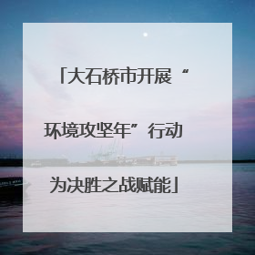 大石桥市开展“环境攻坚年”行动为决胜之战赋能