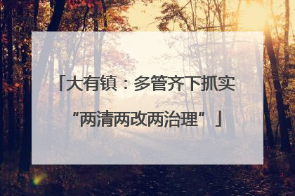 大有镇：多管齐下抓实“两清两改两治理”
